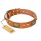 "Saucy Nature" FDT Artisan Tan Leather Swiss Mountain Dog Collar with Old Bronze Look Plates and Skulls