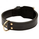 Training 2 Ply Leather Swiss Mountain Dog Collar