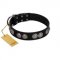 "Magic Amulete" Handcrafted FDT Artisan Black Leather Swiss Mountain Dog Collar with Chrome-Plated Shields