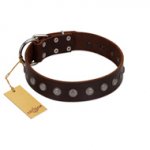 "Spring Flower" Stylish FDT Artisan Brown Leather Swiss Mountain Dog Collar for Comfy Walks
