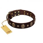 "Breaking the Horizon" FDT Artisan Brown Leather Swiss Mountain Dog Collar with Engraved Studs and Medallions