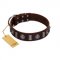 "Spiky Way" FDT Artisan Brown Leather Swiss Mountain Dog Collar with Silver-Like Decorations