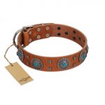"Blue Sands" FDT Artisan Tan Leather Swiss Mountain Dog Collar with Silver-like Studs and Round Conchos with Stones