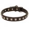 Swiss Mountain Dog Leather Collar Caterpillar Design