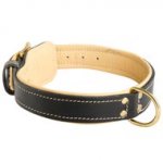 Padded Leather Swiss Mountain Dog Collar
