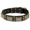 Swiss Mountain Dog Spiked Leather Collar with Nickel Plates