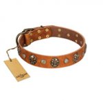"Call of Feat" FDT Artisan Tan Leather Swiss Mountain Dog Collar with Old Bronze-like Studs and Oval Brooches