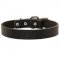 Swiss Mountain Dog Leather Dog Collar For Pleasant Wearing