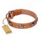 "Era of Future" FDT Artisan Handcrafted Tan Leather Swiss Mountain Dog Collar with Decorations