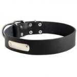 Classic Leather Swiss Mountain Dog Collar with Identification Tag