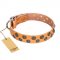 "Precious Sparkle" FDT Artisan Handcrafted Tan Leather Swiss Mountain Dog Collar