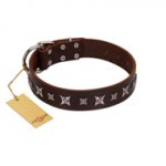"Stellar Fairy " FDT Artisan Brown Leather Swiss Mountain Dog Collar with Chrome-plated Star-like Decorations
