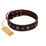 "Pure Sensation" Exclusive FDT Artisan Brown Leather Swiss Mountain Dog Collar with Fancy Brooches and Studs