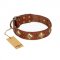 "Flight of Fancy" FDT Artisan Adorned Leather Swiss Mountain Dog Collar