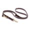 Multipurpose Brown Biothane Swiss Mountain Dog Leash for over 7 Different Activities