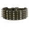 Swiss Mountain Dog Leather Collar Spiked and Studded
