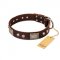 "Pirate Skull" FDT Artisan Brown Leather Swiss Mountain Dog Collar with Old Silver Look Plates and Skulls