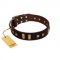 "Choco Delight" FDT Artisan Brown Leather Swiss Mountain Dog Collar with Old Bronze-like Plates and Studs