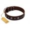 "Pure Sensation" Exclusive FDT Artisan Brown Leather Swiss Mountain Dog Collar with Fancy Brooches and Studs