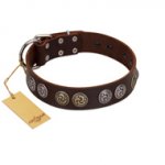 "Treasure Hunter" FDT Artisan Brown Leather Swiss Mountain Dog Collar with Old-Bronze-like and Silvery Medallions