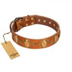 "Glossy Autumn" Designer Handmade FDT Artisan Tan Leather Swiss Mountain Dog Collar with Ovals and Studs