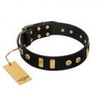 "Rare Dog" FDT Artisan Black Leather Swiss Mountain Dog Collar with Old Bronze-like Dotted Studs and Tiles