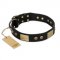 "Spanish night" FDT Artisan Fashionable Leather Walking Swiss Mountain Dog Collar