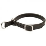 Swiss Mountain Dog Leather Choke Collar