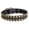 2 Rows Brass Studded Leather Swiss Mountain Dog Collar for Walking and Training
