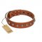"Heroic Deeds" Designer Handmade FDT Artisan Tan Leather Swiss Mountain Dog Collar
