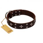 "Trendy Candy" FDT Artisan Brown Leather Swiss Mountain Dog Collar Adorned with Stars and Tiny Squares