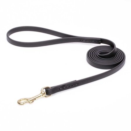 Black Biothane Swiss Mountain Dog Leash for Walking, Tracking