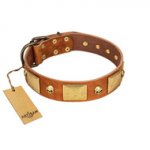 "Mutt The Daredevil" FDT Artisan Tan Leather Swiss Mountain Dog Collar with Old Bronze-like Skulls and Plates