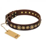 "Ancient Warrior" FDT Artisan Fancy Leather Swiss Mountain Dog Collar with Old-Bronze Plated Decorations