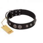 "Tricky Ricky" FDT Artisan Black Leather Swiss Mountain Dog Collar Adorned with Silver-Like Conchos