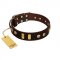 "Lord of Dogs" FDT Artisan Brown Leather Swiss Mountain Dog Collar with Old Bronze-like Dotted Studs and Tiles