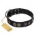 "Century Silver" Designer Handmade FDT Artisan Black Leather Swiss Mountain Dog Collar