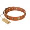 "Visual Magic" FDT Artisan Tan Leather Swiss Mountain Dog Collar for Daily Activities