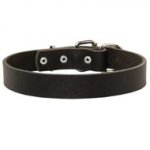 Swiss Mountain Dog Leather Dog Collar For Pleasant Wearing