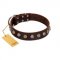 "Gape Buster" FDT Artisan Brown Leather Swiss Mountain Dog Collar with One Row of Studs