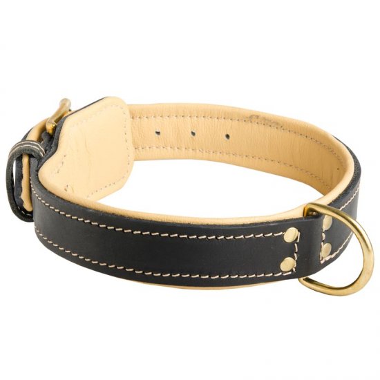 swiss leather dog collar