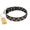 "Romantic Breeze" FDT Artisan Black Leather Swiss Mountain Dog Collar with Sparkling Circles