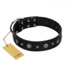 "Mr. Elegance" Designer FDT Artisan Black Leather Swiss Mountain Dog Collar with Silver-Like Studs