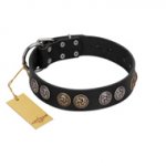 "Mister Exclusive" Designer FDT Artisan Black Leather Swiss Mountain Dog Collar with Medallions