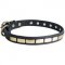 Swiss Mountain Dog Leather Collar Brass Plates 25 mm