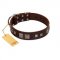 "Object of Virtu" FDT Artisan Brown Leather Swiss Mountain Dog Collar with Old Silver-like Square Studs and Pyramids
