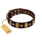 "Retro Pusle" FDT Artisan Brown Leather Swiss Mountain Dog Collar with Old Bronze-like Studs and Oval Brooches