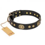 "Golden Radiance" FDT Artisan Black Leather Swiss Mountain Dog Collar with Old Bronze Look Ovals and Circles