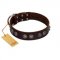 "King Arthur" FDT Artisan Brown Leather Swiss Mountain Dog Collar with Spiky Plates