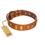 "Egyptian Script" FDT Artisan Tan Leather Swiss Mountain Dog Collar with Plates and Small Studs